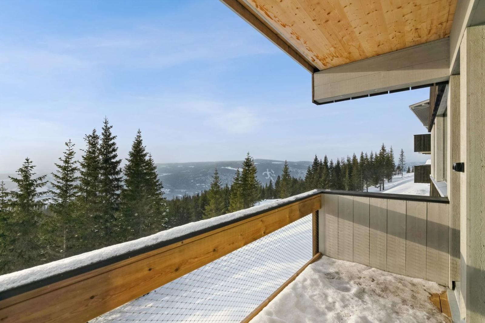 Hafjell Front 8Pers, Ski In/Out. Downhill Bike Luaran gambar